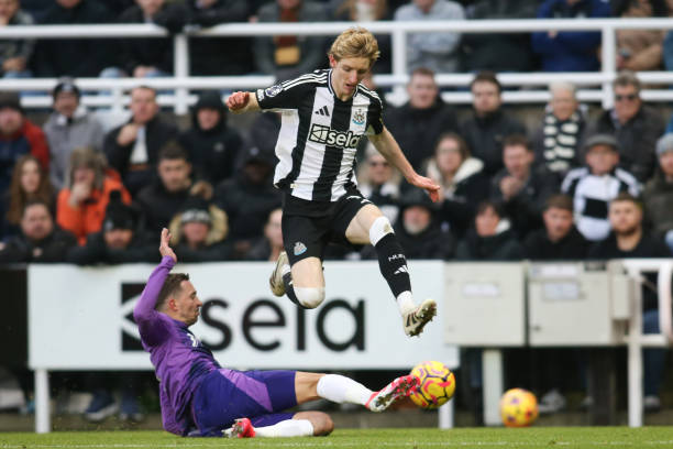 我们将深入 我们将深入